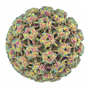 Colpofix® – Let’s talk about HPV Colpofix® - HPV hakkında konuşalım
